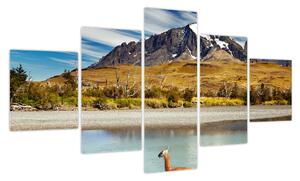 Obraz - Park Narodowy Torres del Paine (125x70 cm)