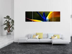 Obraz - Egzotyczny kwiat (170x50 cm)
