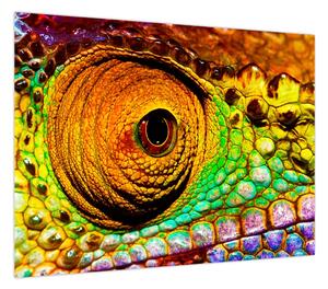 Obraz - Kameleon (70x50 cm)