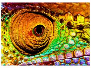 Obraz - Kameleon (70x50 cm)