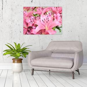 Obraz - Różowe lilie (70x50 cm)
