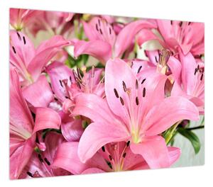 Obraz - Różowe lilie (70x50 cm)