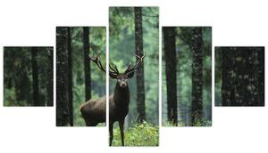 Obraz - Jeleń w głebokim lesie (125x70 cm)