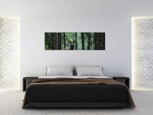 Obraz - Jeleń w głebokim lesie (170x50 cm)