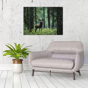 Obraz - Jeleń w głebokim lesie (70x50 cm)