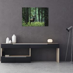 Obraz - Jeleń w głebokim lesie (70x50 cm)
