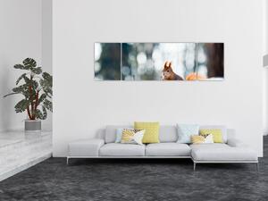 Obraz - Wiewiórka (170x50 cm)