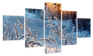 Obraz - Zimowa łąka (125x70 cm)