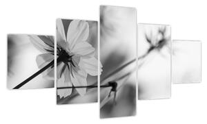 Obraz - Czarno - białe kwiaty (125x70 cm)