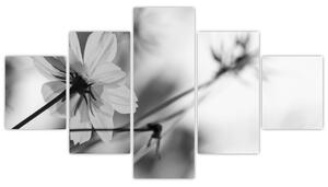Obraz - Czarno - białe kwiaty (125x70 cm)