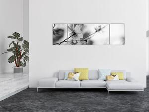 Obraz - Czarno - białe kwiaty (170x50 cm)