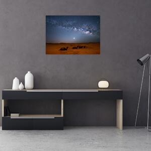Obraz - Noc na pustyni (70x50 cm)