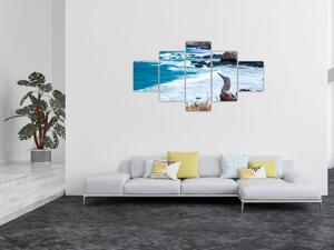 Obraz - głuptak niebieskonogi (125x70 cm)