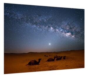 Obraz - Noc na pustyni (70x50 cm)