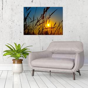 Obraz - Zachód słońca na łące (70x50 cm)