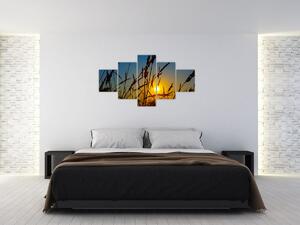 Obraz - Zachód słońca na łące (125x70 cm)