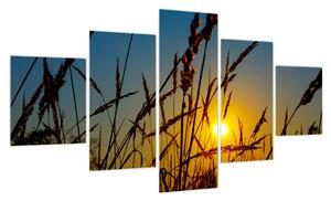 Obraz - Zachód słońca na łące (125x70 cm)
