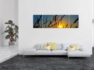 Obraz - Zachód słońca na łące (170x50 cm)
