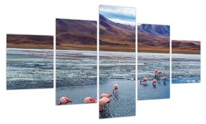 Obraz - Flamingi (125x70 cm)