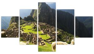 Obraz - Lamy na Machu Picchu (125x70 cm)