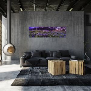 Obraz - Wulkan i kwiaty (170x50 cm)