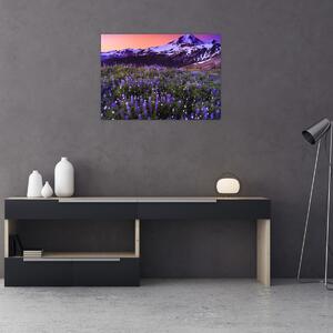 Obraz - Wulkan i kwiaty (70x50 cm)