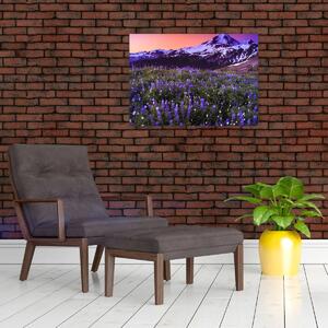 Obraz - Wulkan i kwiaty (70x50 cm)