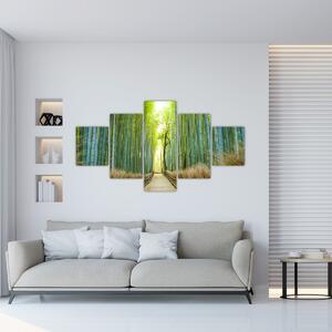 Obraz - Alejka z bambusami (125x70 cm)