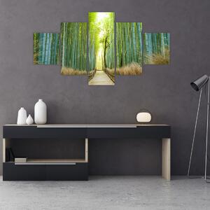 Obraz - Alejka z bambusami (125x70 cm)