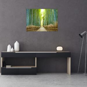 Obraz - Alejka z bambusami (70x50 cm)