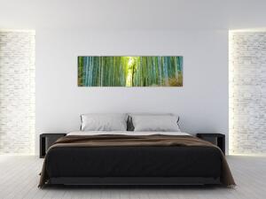Obraz - Alejka z bambusami (170x50 cm)