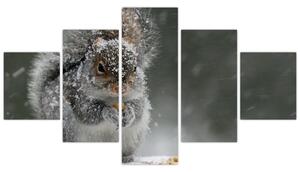 Obraz - Wiewiórka zimą (125x70 cm)
