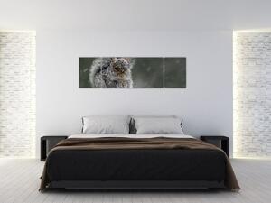 Obraz - Wiewiórka zimą (170x50 cm)