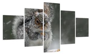 Obraz - Wiewiórka zimą (125x70 cm)
