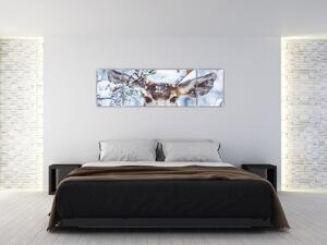 Obraz - Mulak czarnoogonowy (170x50 cm)