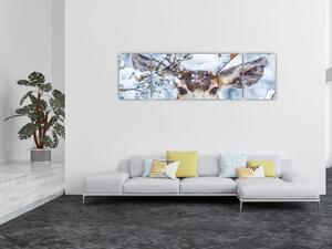 Obraz - Mulak czarnoogonowy (170x50 cm)