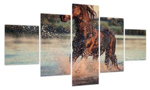 Obraz - Biegnący koń (125x70 cm)