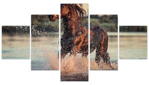 Obraz - Biegnący koń (125x70 cm)