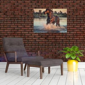Obraz - Biegnący koń (70x50 cm)
