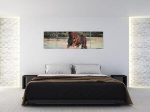 Obraz - Biegnący koń (170x50 cm)