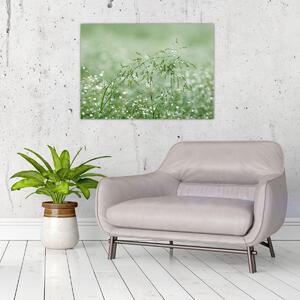 Obraz - Rosa na trawie (70x50 cm)