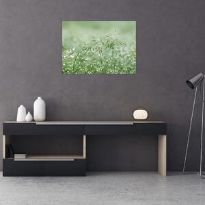 Obraz - Rosa na trawie (70x50 cm)