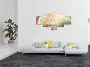 Obraz - Rośliny łąkowe (125x70 cm)