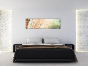Obraz - Rośliny łąkowe (170x50 cm)