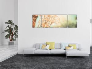 Obraz - Rośliny łąkowe (170x50 cm)