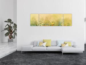 Obraz - Malowana łąka (170x50 cm)