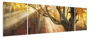 Obraz - Jesienny świt (170x50 cm)