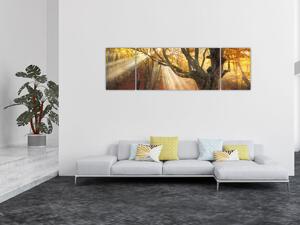 Obraz - Jesienny świt (170x50 cm)