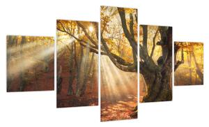 Obraz - Jesienny świt (125x70 cm)