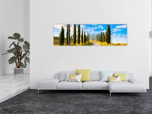 Obraz - Krajobraz (170x50 cm)